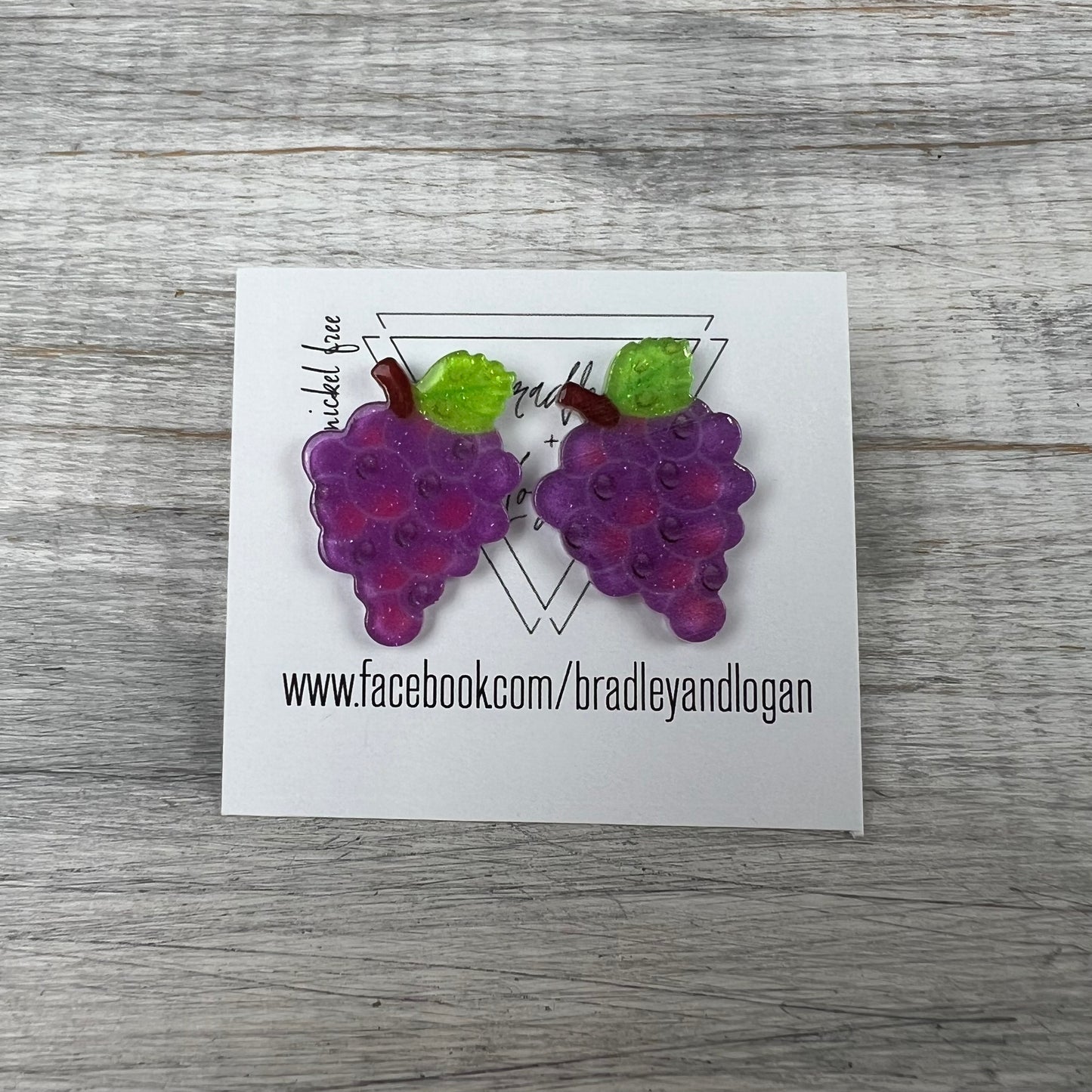 Tasty Fruit Earrings (Studs)