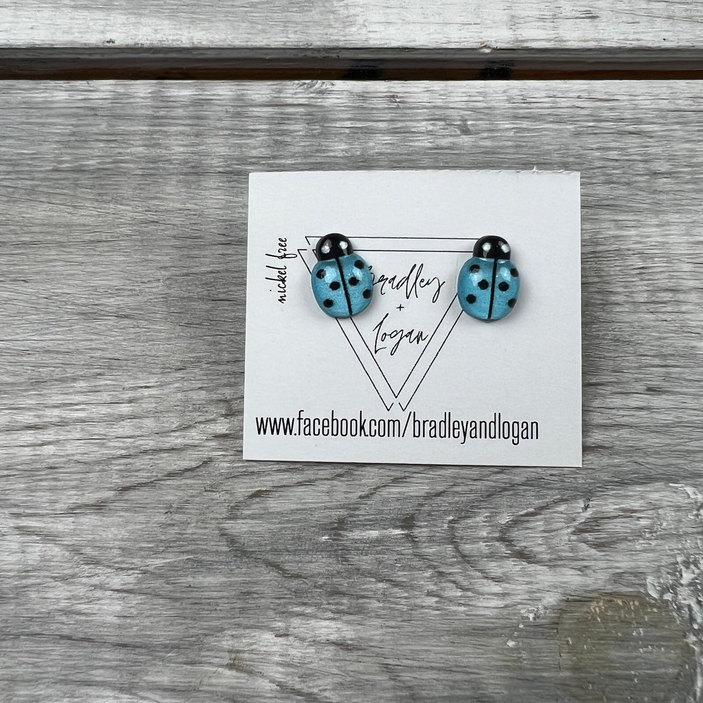 Mini Ladybug Earrings (studs)